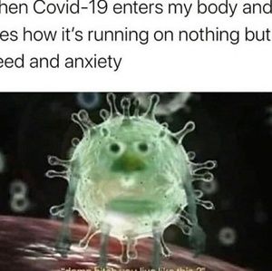 Meet your Posher, Rey